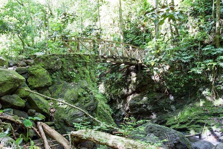 Petit pont de Falchoda en 2010. Photo Bruno Lupan