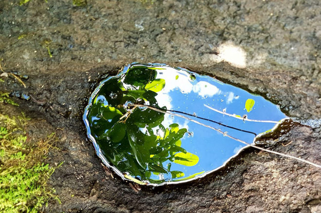 Pierre-source Vaipuna Punaauia. Photo Chantal Alexandre Tahiti Iti