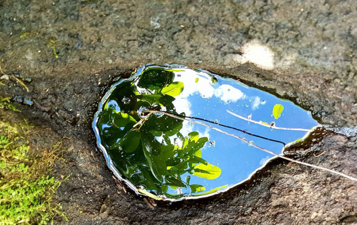 Pierre-source Vaipuna Punaauia. Photo Chantal Alexandre Tahiti Iti