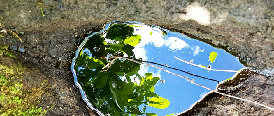 Pierre-source Vaipuna Punaauia. Photo Chantal Alexandre Tahiti Iti