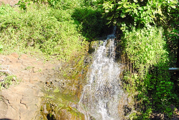 Source Pati, Mahina