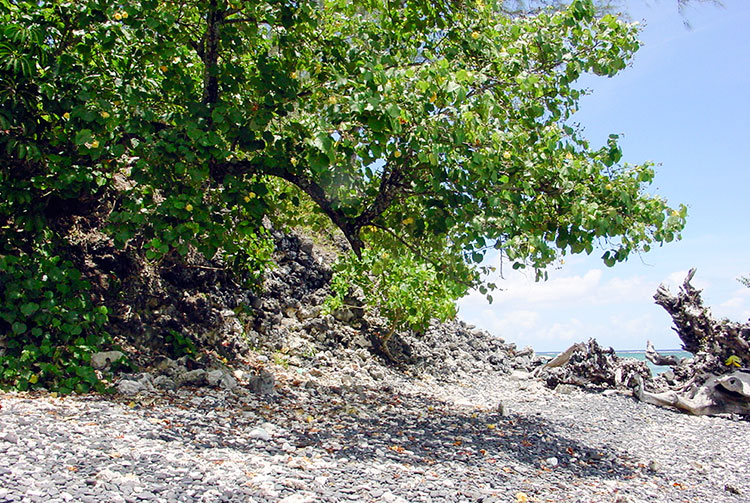 Vestiges du marae Mahaiatea de Papara