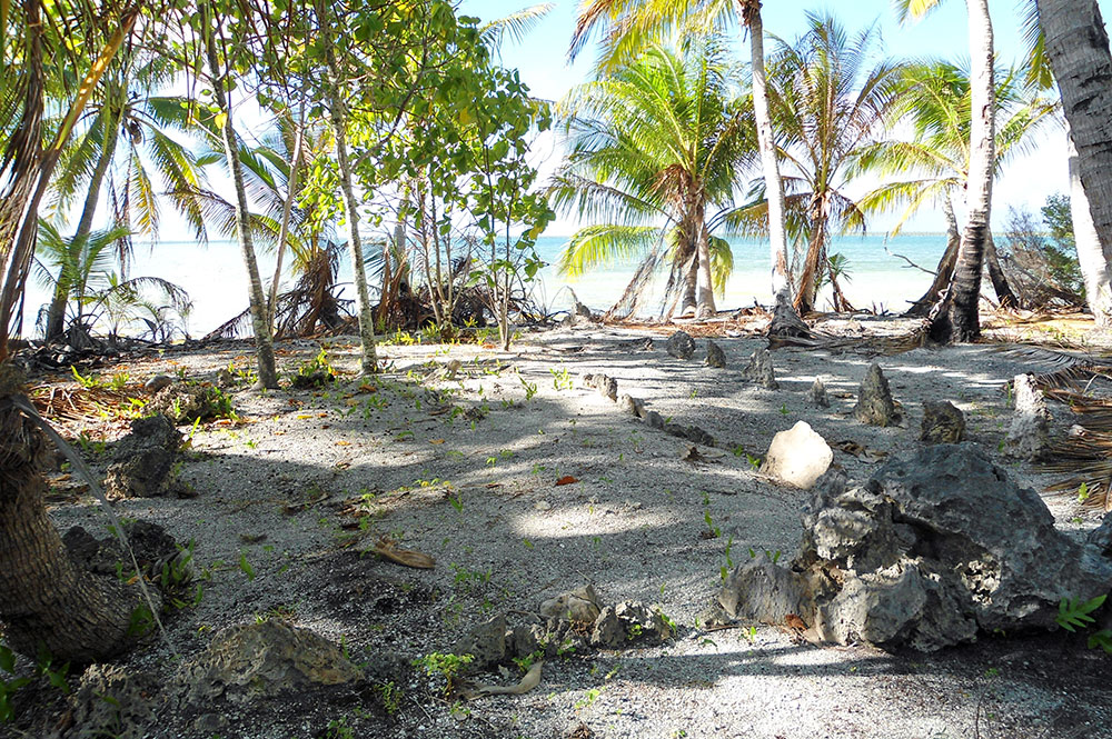 Marae Ura de Niau au Tuamotu. Photo Diren / Paul Niva