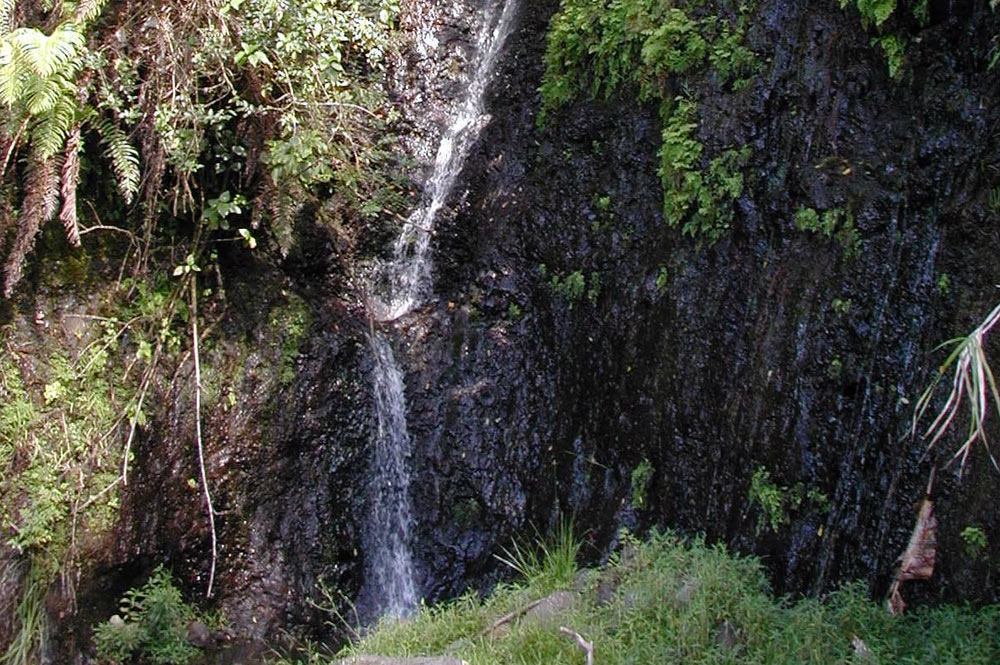 Cascade des 1000 sources à Mahina