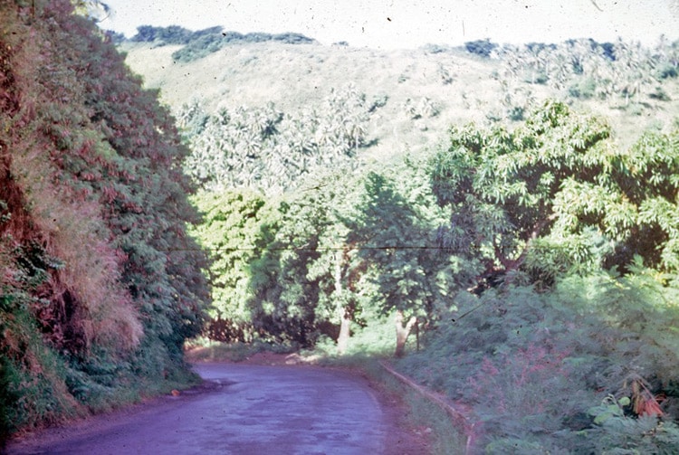 Ancienne route de la colline du Tahara'a
