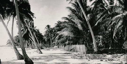 Maison de Robert Louis Stevenson à Rotoava, Fakarava