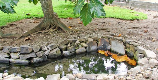 Source Vaipua Maeva, Huahine