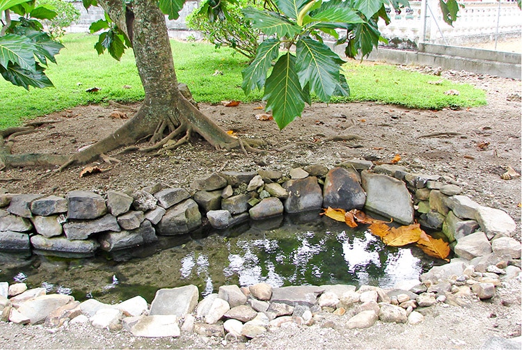 Source Vaipua Maeva, Huahine