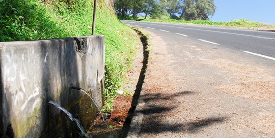Source Tapahi, mahina