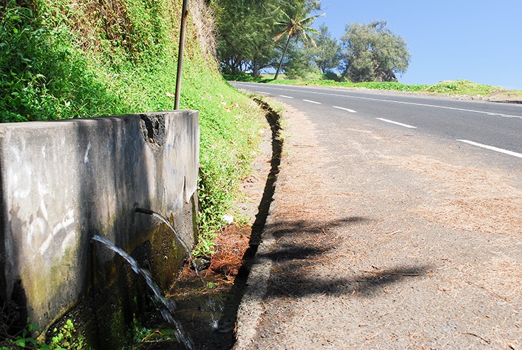 Source Tapahi, mahina