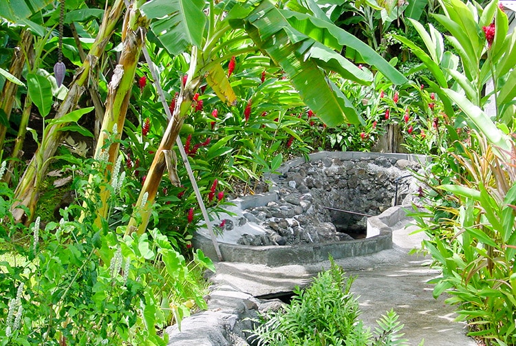 Source Vaitipiha de vahine Tetea - Mahina © Tahiti Heritage