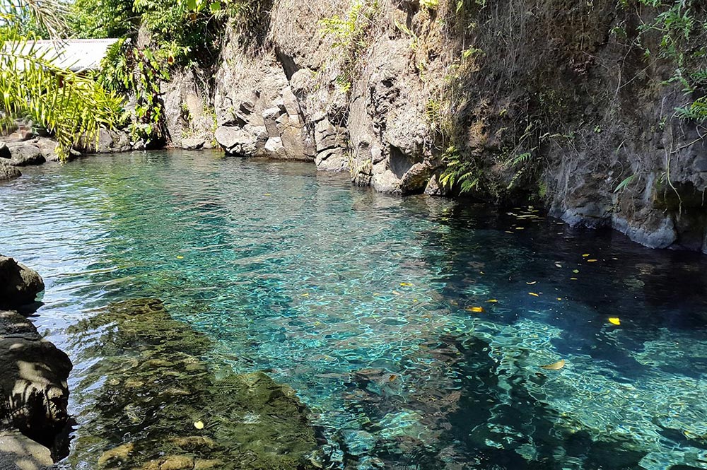 Source Vaianuanu à Mataiea. Photo Chantal