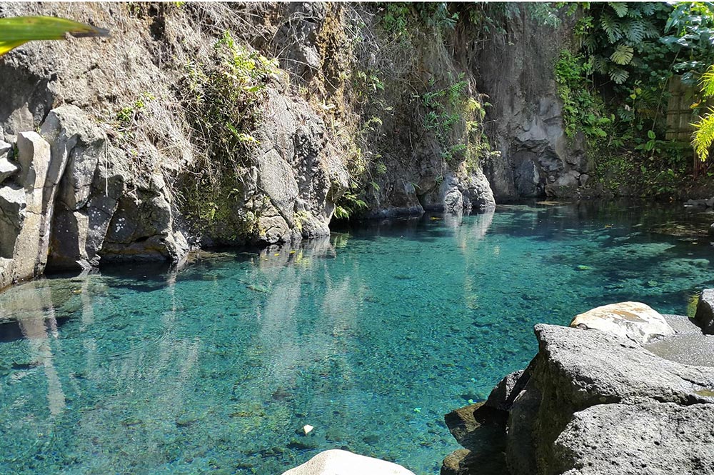 Source Vaianuanu à Mataiea. Photo Chantal