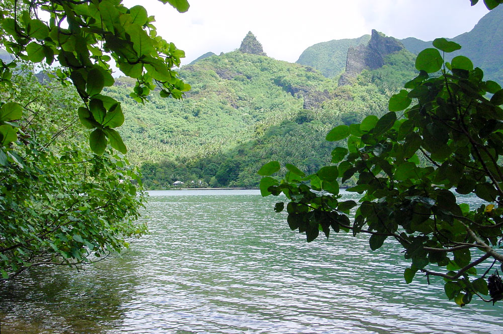 Crique robinson dans la baie de Opunohu à Moorea