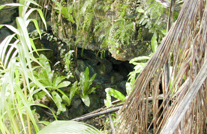 Grotte Vaimarui de Tupana à Niau. Photo Paul Niva