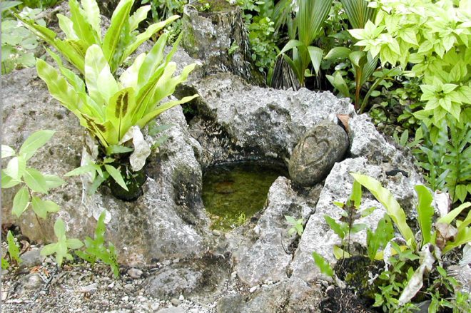 Vaihi'ohio - Miroir de la reine à Niau. Tuamotu Photo Miri Tatarata