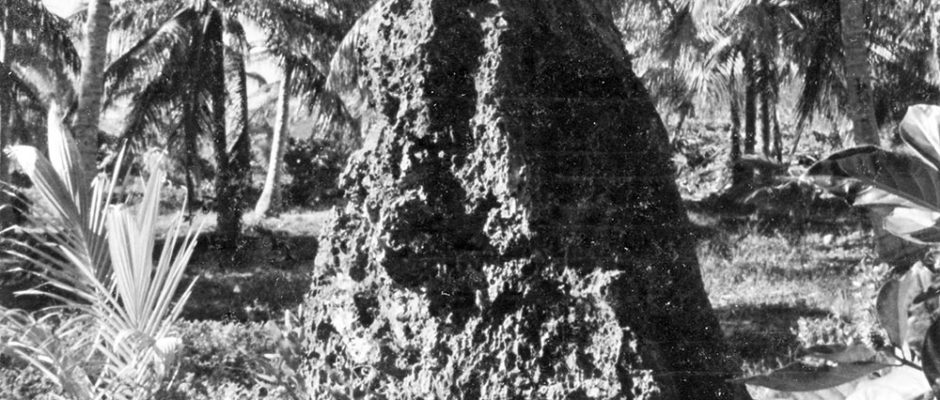 Pierre couronnée - Niau