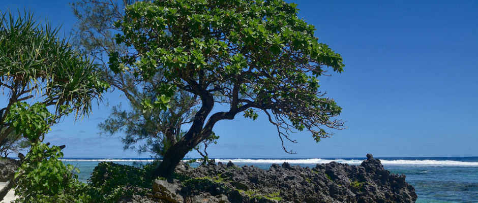 Rivage de Rimatara. Photo Jean Paul Rutz