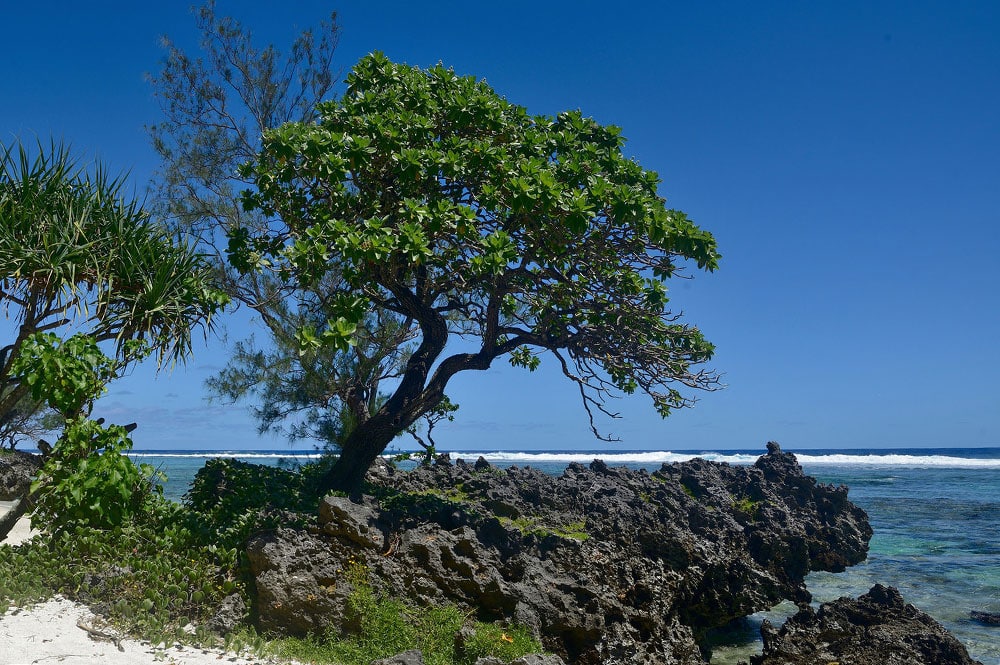 Rivage de Rimatara. Photo Jean Paul Rutz