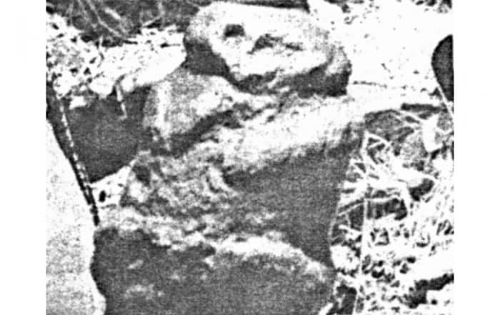 Tiki Tapuna de Paea, 1979