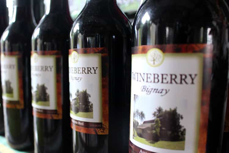 Wineberry, vin de Bignay