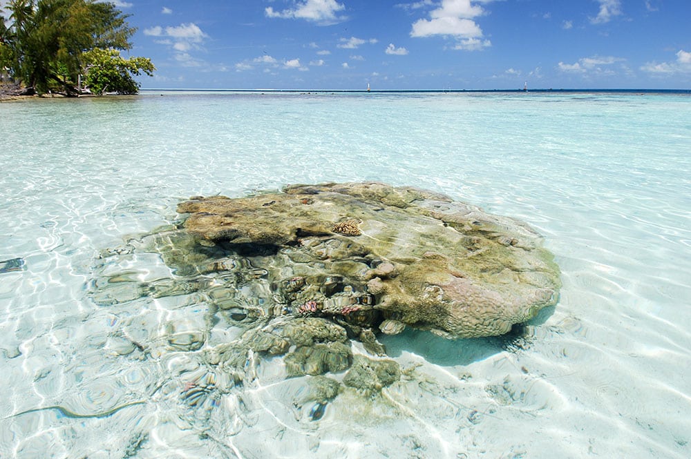 Pierre Tuki à Tetamanu, Fakarava. © Olivier Babin