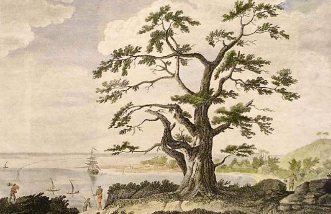 OnA view of Matavia Bay in Otaheite from One Tree Hill. Hand-coloured engraving after a drawing originally by Sydney Parkinson in John Hawkesworth Account of the voyages..for making discoveries in the Southern Hemisphere vol. II, 1773.