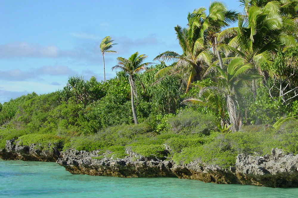 Motu à Tematahoa, au sud de l'atoll de Anaa