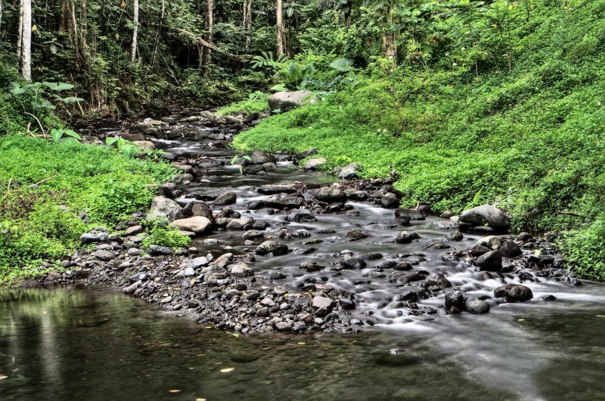 La rivière Naohata à Pirae. Photo Yan Peirsegaele