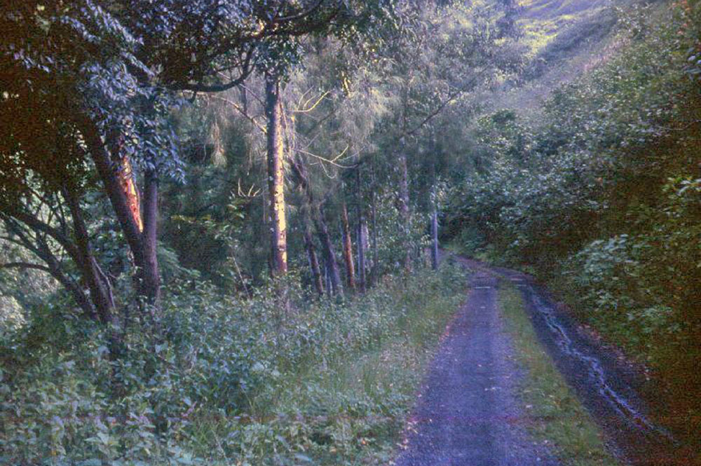 Piste du belvédère de Pirae en 1963. Photo Pierre Carabasse