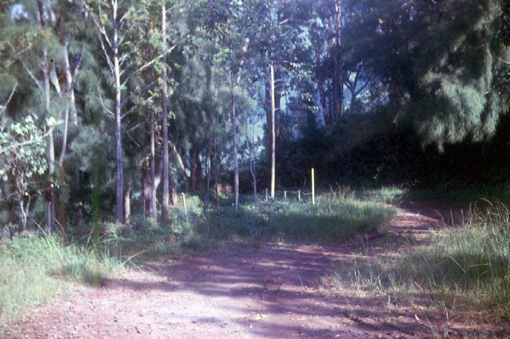 Piste du belvédère de Pirae en 1963. Photo Pierre Carabasse