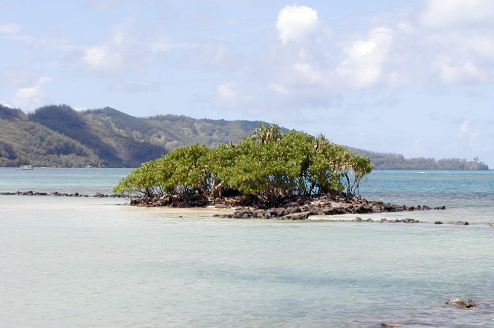 Motu Teakau, Fort Louis Philippe à Rikitea