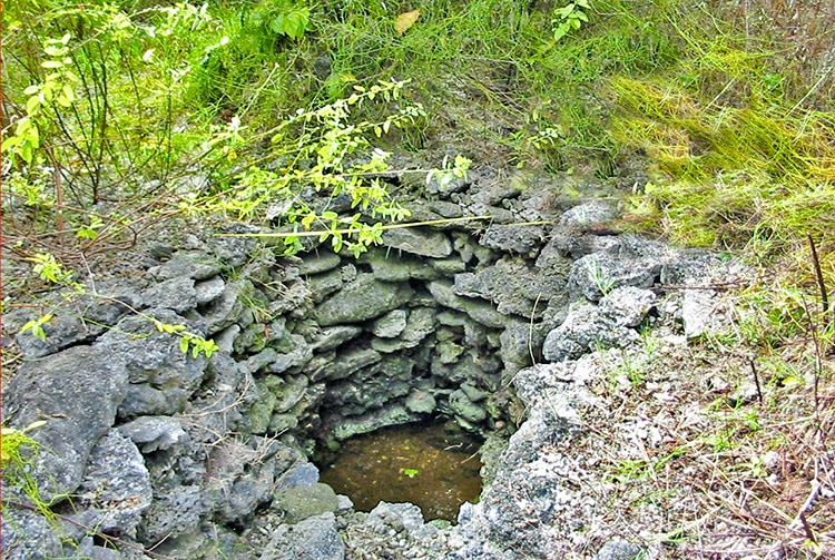 Puits du motu Teonai à Tikehau