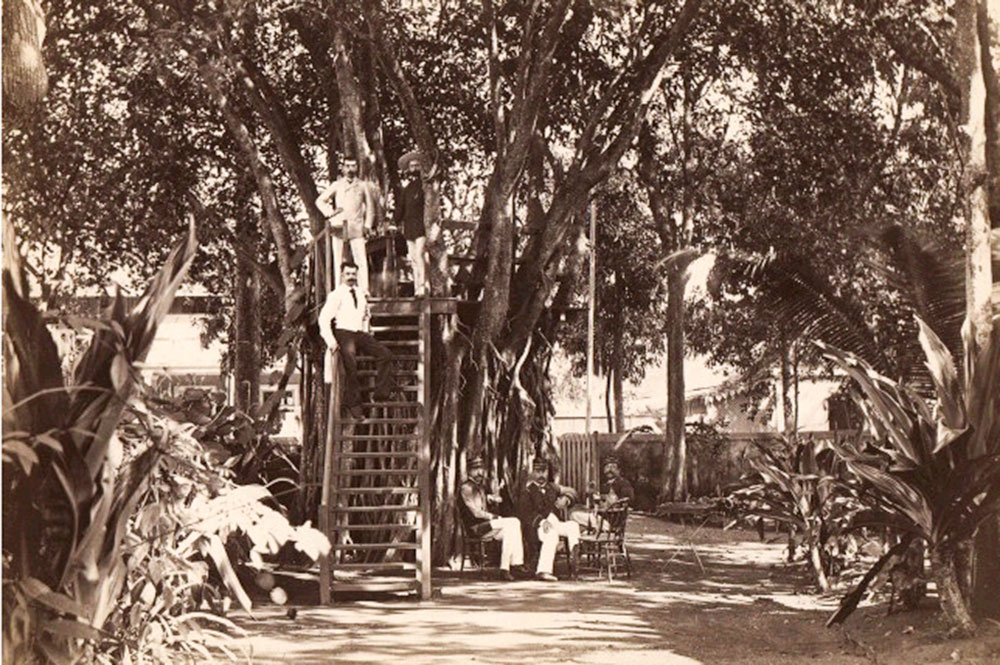 Banian de Gauguin, place Tarahoi à Papeete en 1890