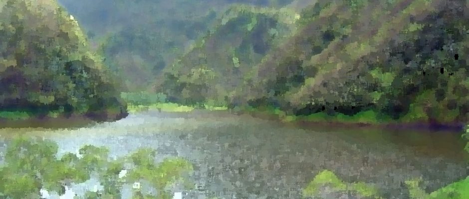 Petits bonhommes du lac Vaihiria