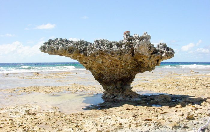 Ofai Taunoa, Rocher des tortues de Mataiva. © Tahiti Heritage