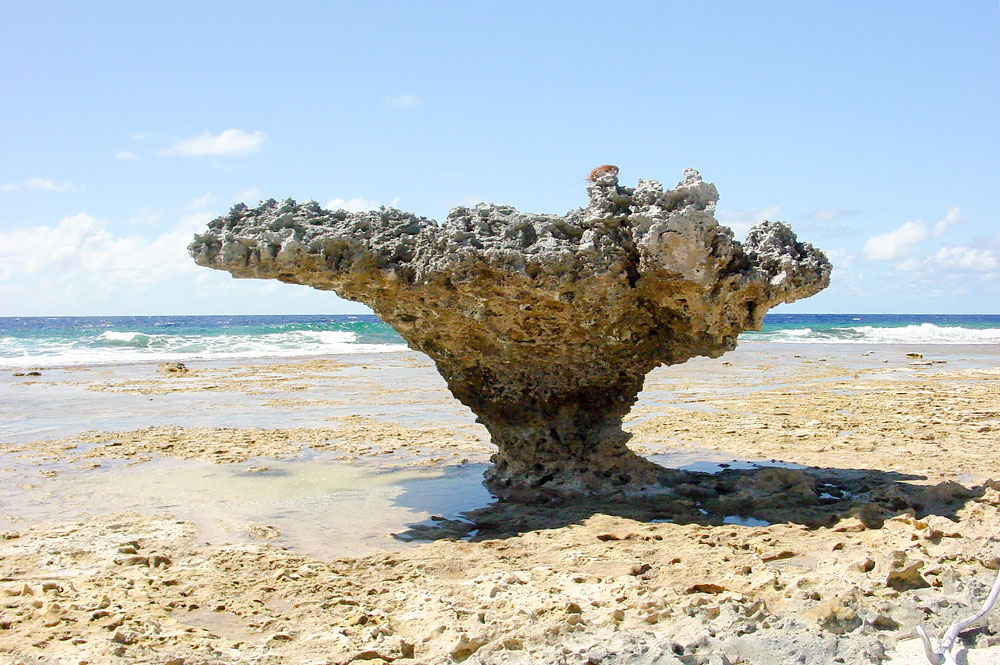 Ofai Taunoa, Rocher des tortues de Mataiva.