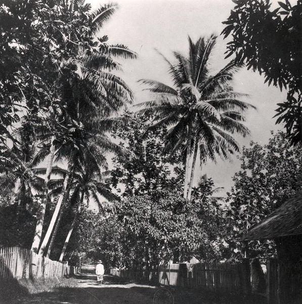 Une route de Papeete (Tahiti) en 1882, coll. Vahineitaria