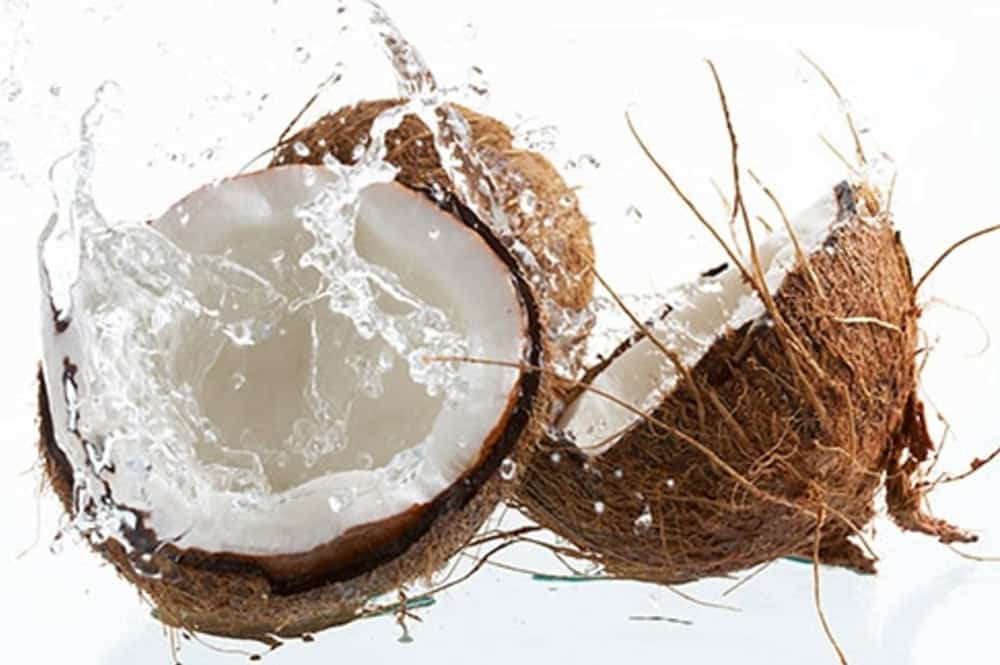 Coconut