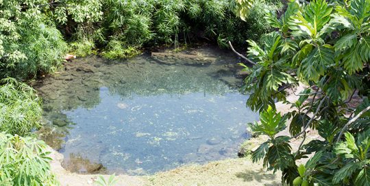 Source de Hotuarea, Faa'a, Tahiti. © Tahiti Heritage 2015