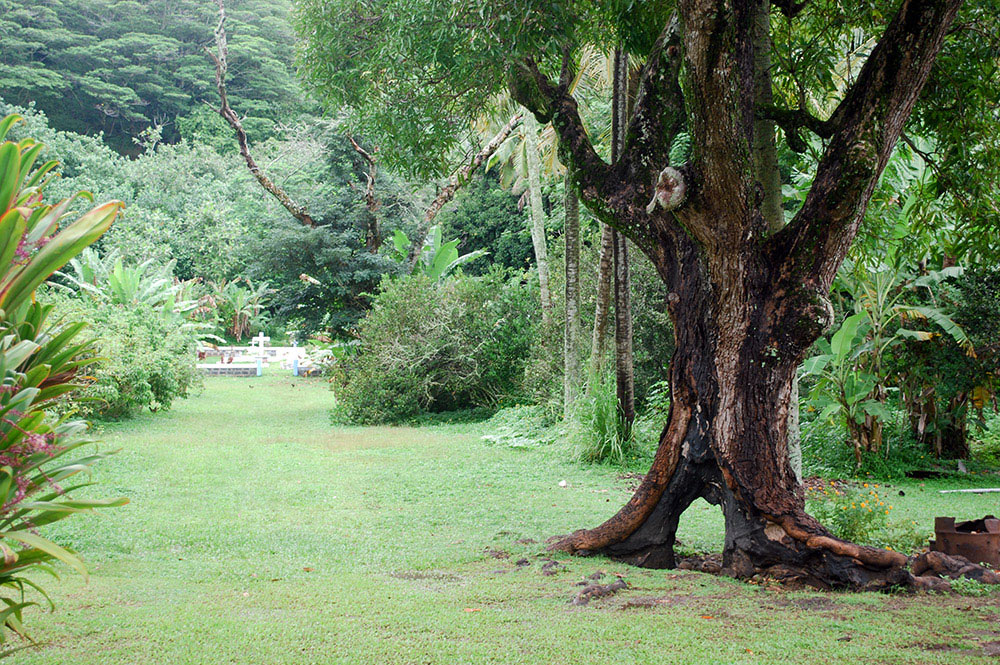 Allée du cimetière de Taku, Mangareva. © Tahiti Heritage