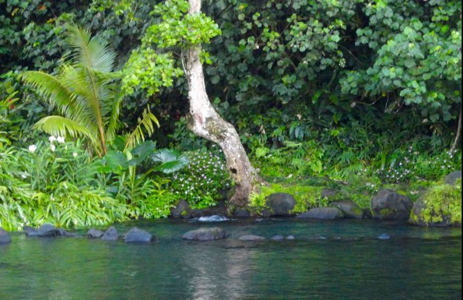 Source Vaima à Mataiea. Photo Ariirau Richard-Vivi