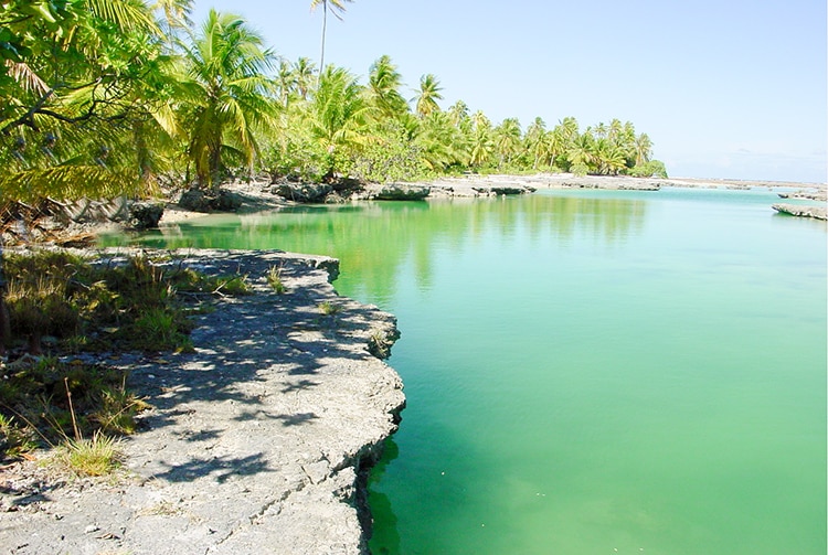 Grotte O'tao de Mataiva © Tahiti Heritage