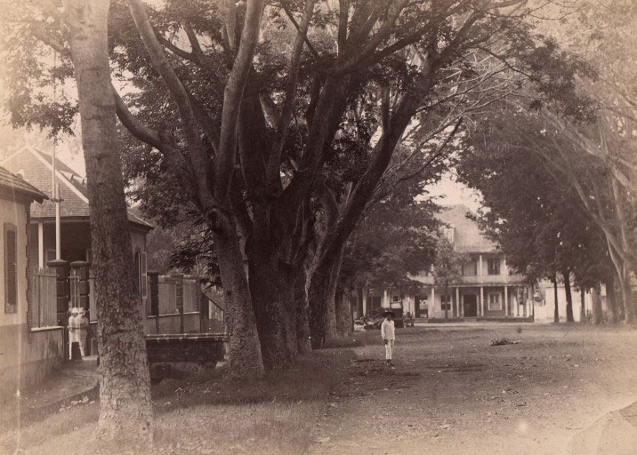 Papeete, l'avenue Bruat vers 1900
