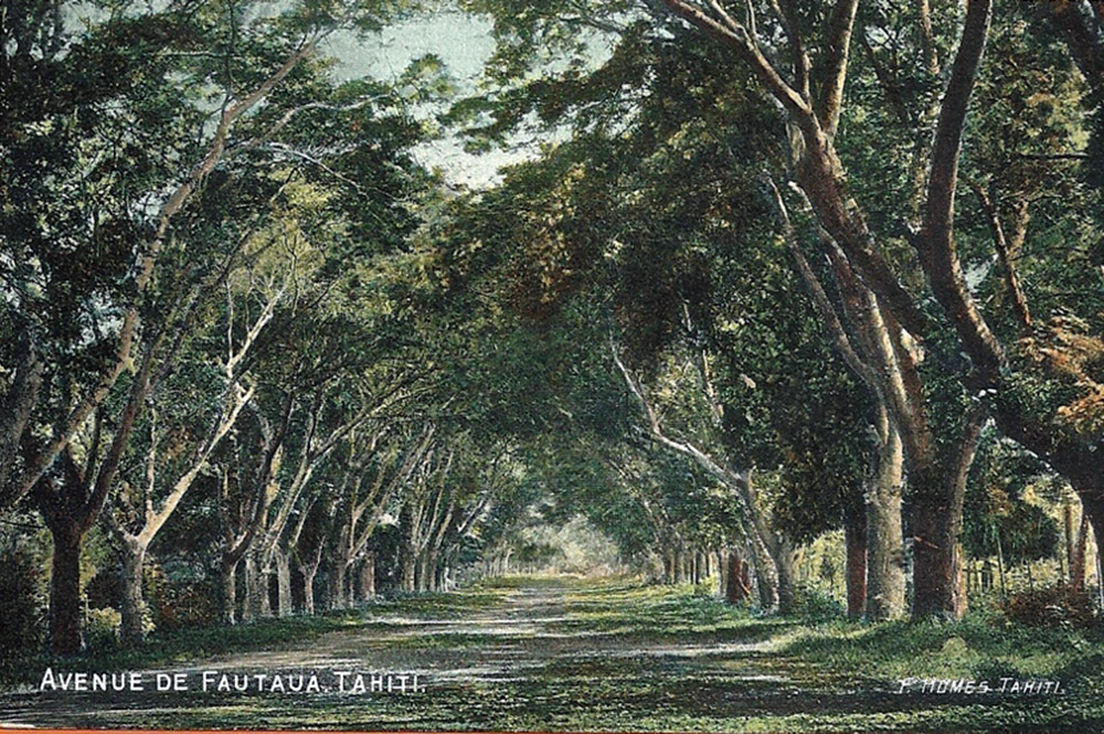 L'avenue de la Fautaua à Papeete en 1905. Photo F. Holmes 