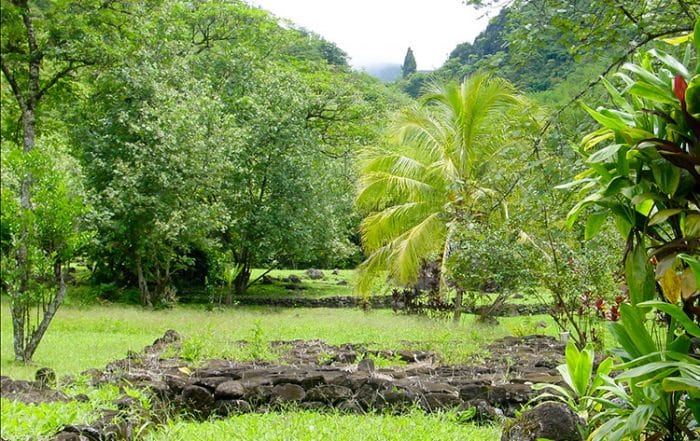 Plateforme de tir à l'arc à Farehape, vallée de papenoo. © Tahiti Heritage