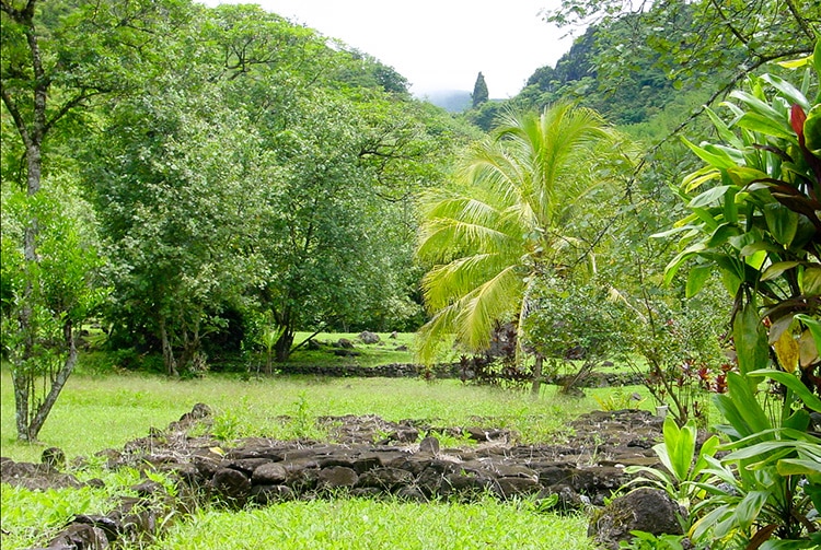 Plateforme de tir à l'arc à Farehape, vallée de papenoo. © Tahiti Heritage