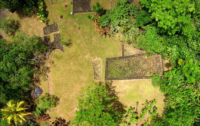 Site archéologique de Farehape, vallée de Papenoo. Photo Pierre Lesage