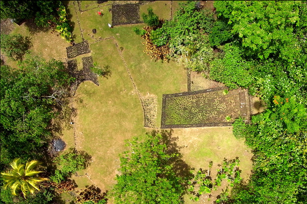 Site archéologique de Farehape, vallée de Papenoo. Photo Pierre Lesage