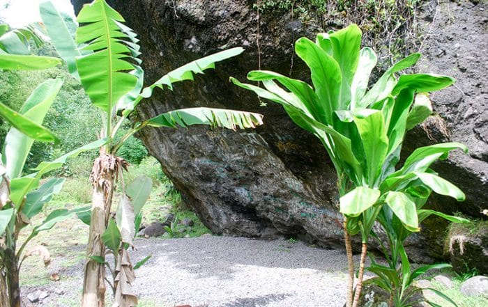 Abri Apaapauai de Farehape, vallée de la Papenoo